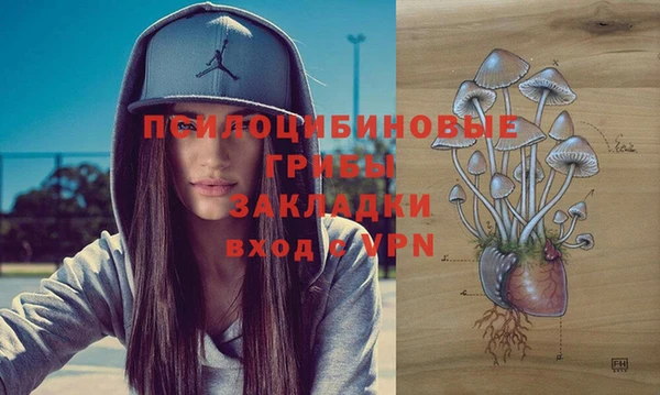 амфетамин Алексеевка