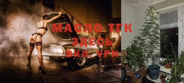 мдпв Пересвет