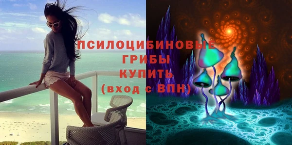 амфетамин Алексеевка