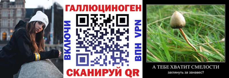 Псилоцибиновые грибы MAGIC MUSHROOMS  купить наркоту  Неман 